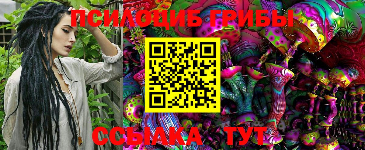 Ногинск  Галлюциногенные грибы Cubensis  Вход с VPN 